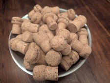 Used Classic Champagne and