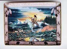 Franklin Mint American Indian