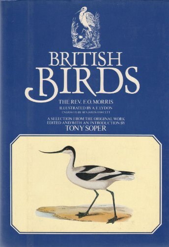 British birds francis - british, orpen