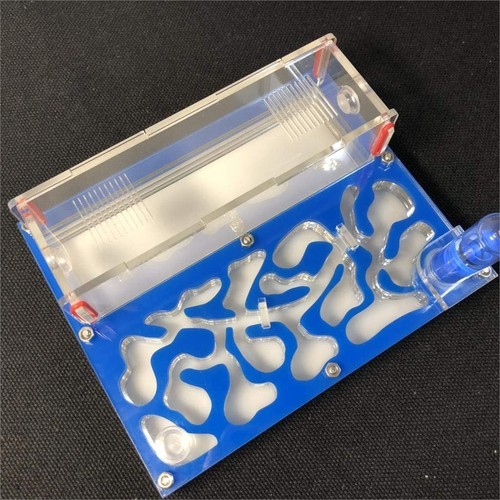 Sky blue acrylic ant - blue,