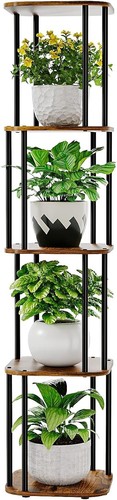 Tier tall plant - tall, indoor