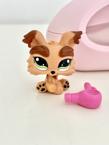1016 puppy yorkie dog with - 1016,