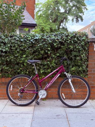 Activ raleigh ladies - activ,