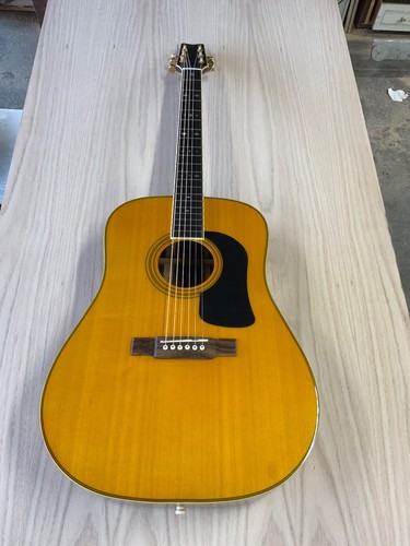 Washburn 28s acoustic - washburn,