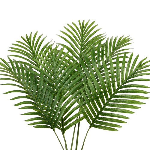 Dilatata 6pcs large - large, artificial