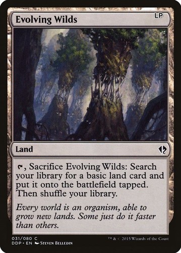 Evolving wilds 31 ddp - -,