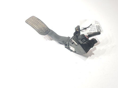 Nissan leaf accelerator - nissan,