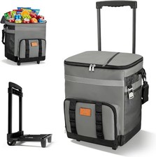 Delousiber 35L Collapsible