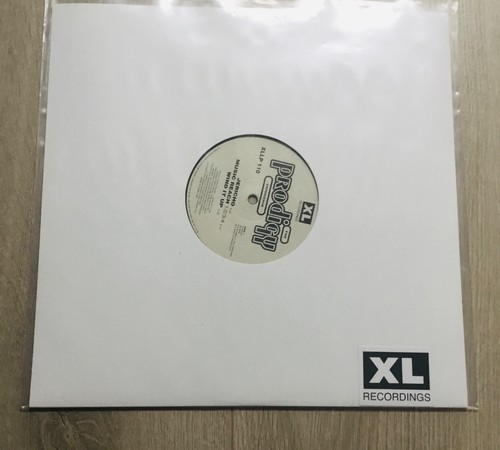 The prodigy experience - the, lp
