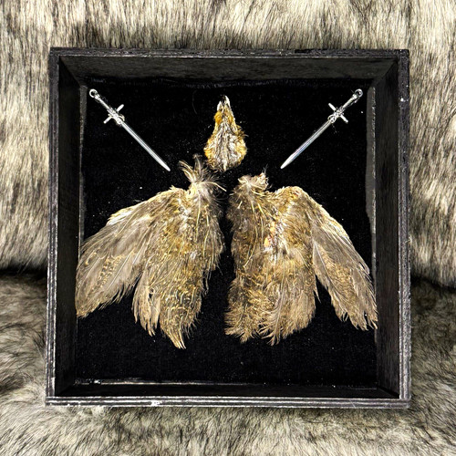 Framed quail feathers display - quail,