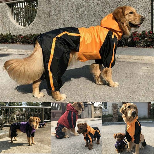 Raincoat dog outfits - raincoat,