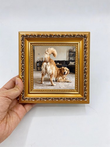 Golden dog playing living - golden,