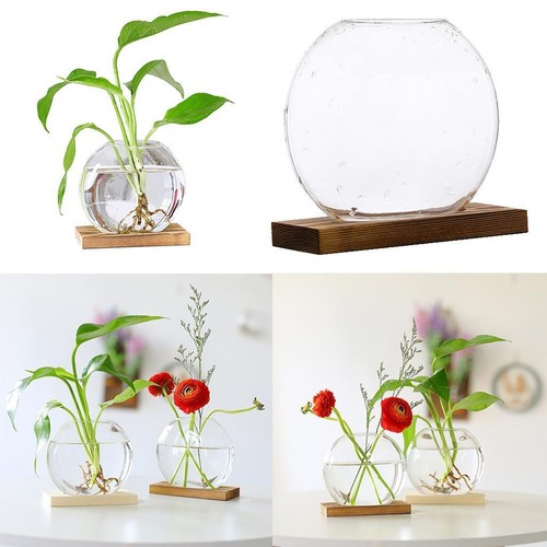 Modern hydroponic glass flower - modern,