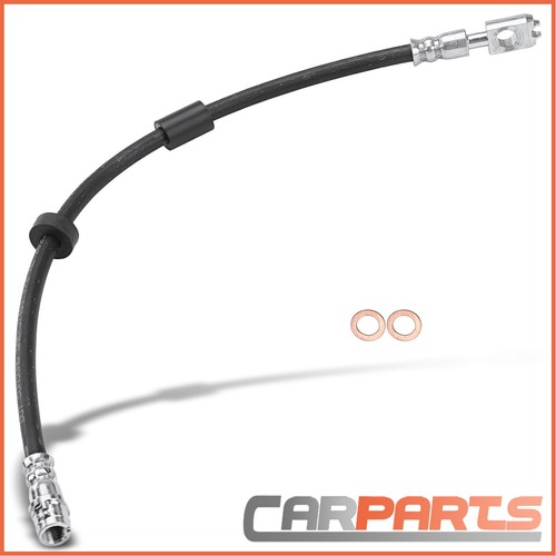 Brake hose front - brake, right