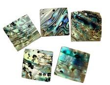 Lot 5 Large Abalone Nacre