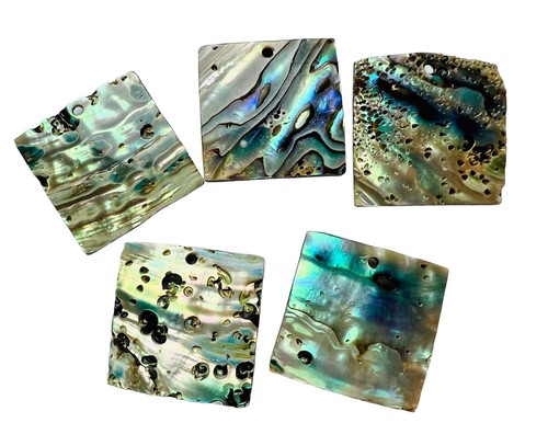 Lot large abalone nacre - lot,