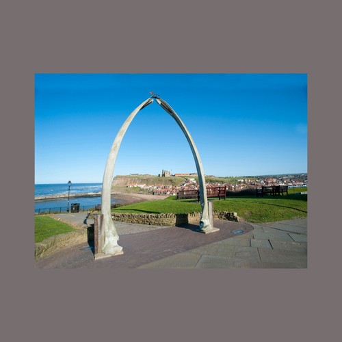 Whale bone monument - whale,