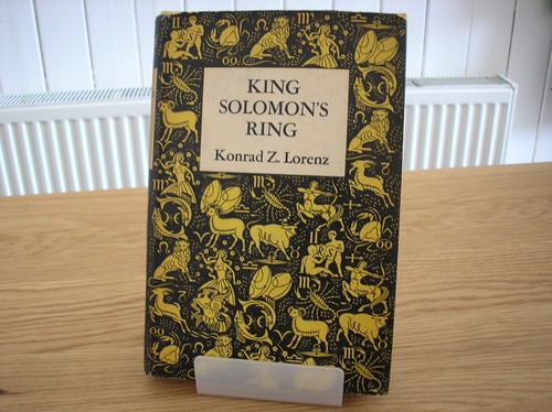 King solomon ring new light - ring,