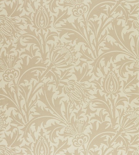 Morris pure thistle - morris,