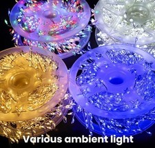 Copper Wire Firecracker Light