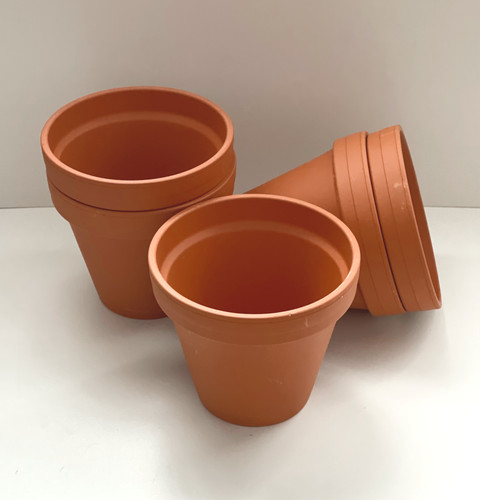 Traditional terracotta plant - traditional,