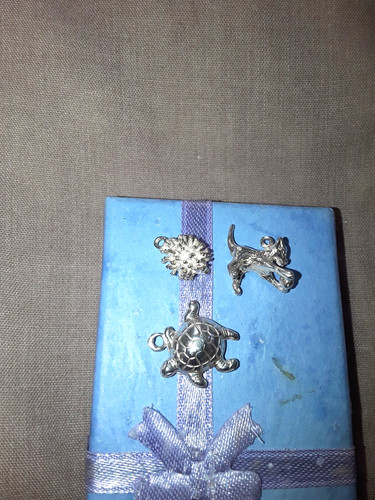 Silver charms tortoise cat - cat, &
