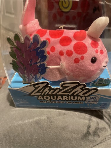 Zhu aquarium pets - zhu,