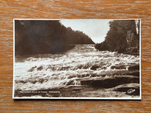 Aysgarth lower falls yorkshire - lower,