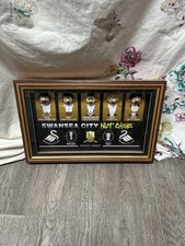 Swansea City Nut Case Trophy
