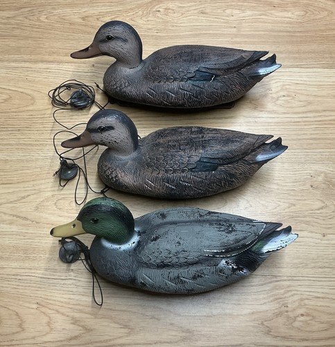Sport plast mallard duck - plast,