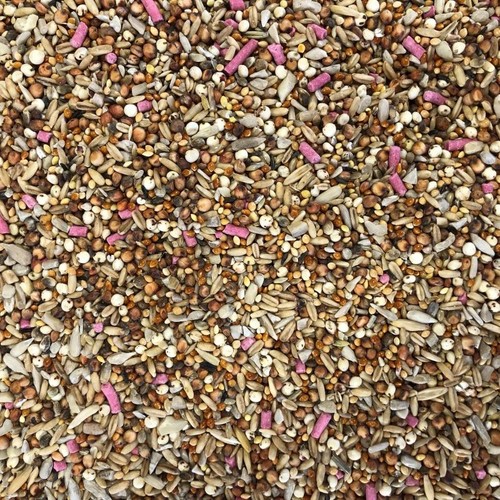 10kg premium wild bird - wild, food