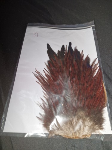 Large saddle cock hackles fly - hackles,