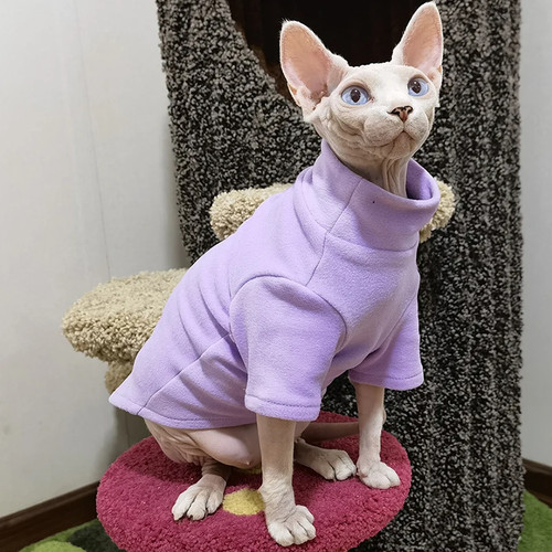 Sphynx cat clothes - sphynx,