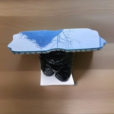 Vintage Retro Steampunk  Side