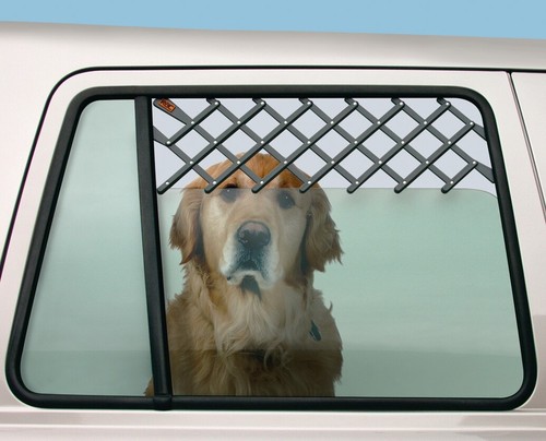 Rac window vent guard - rac,