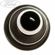 Genuine Ford Crankcase Oil