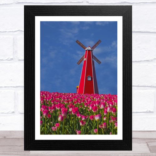 Windmill collection design - design, 6