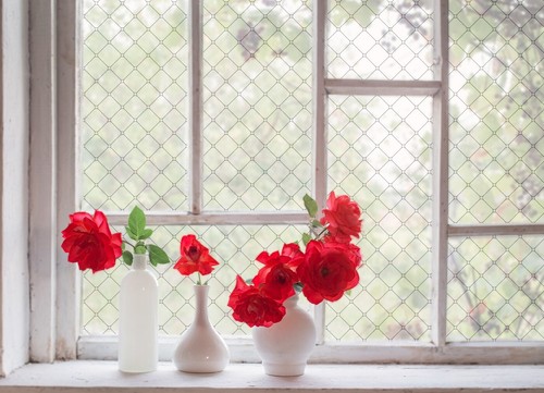 Privacy window film frosted - window,