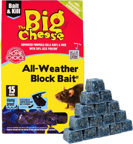 Blocks stv big - big, cheese