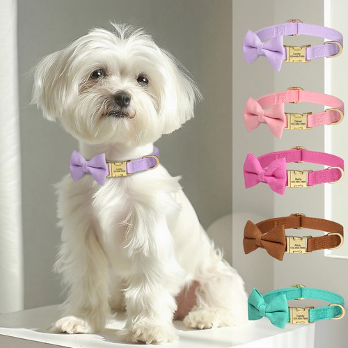 Personalised dog collar with - personalised,