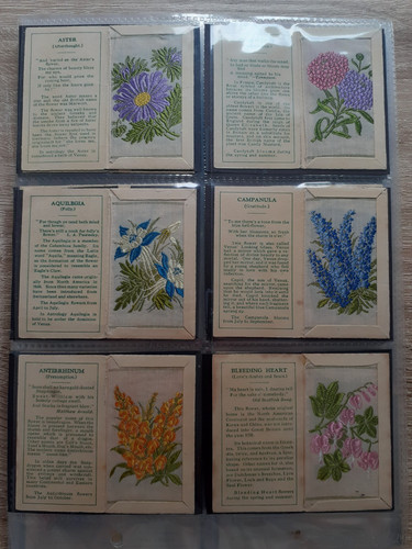 Kensita flower silks printed - kensita,