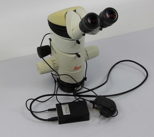Leica mz75 stereo microscope - leica,