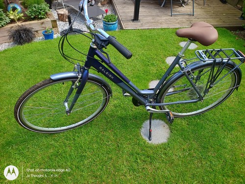 Raleigh pioneer large - pioneer, step