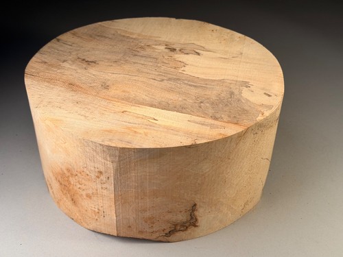 Amazing very large spalted - large,