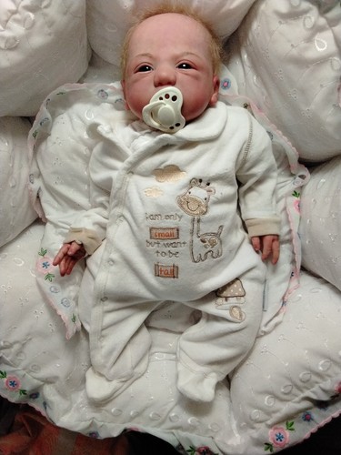 Reborn benjamin daisy - benjamin,