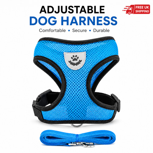 Cat dog harness with lead - cat,