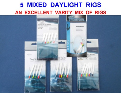 Mixed daylight rigs boat - 5,