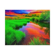 Colorful Landscape  (