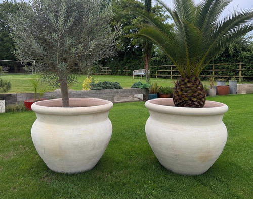Extra large 80cm frost - ,