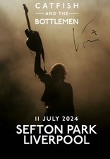Catfish and the Bottlemen